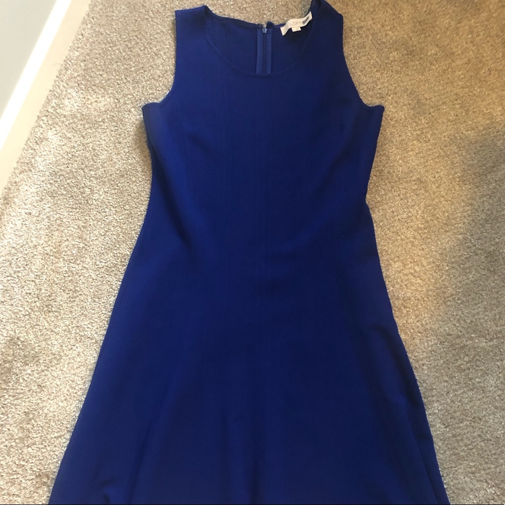 Loft Royal Blue Dress